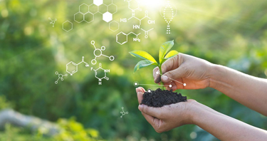 Chemical & Process Plants